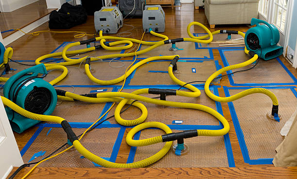 Professional Structural Drying And Dehumidification technician working in Farmington, MN